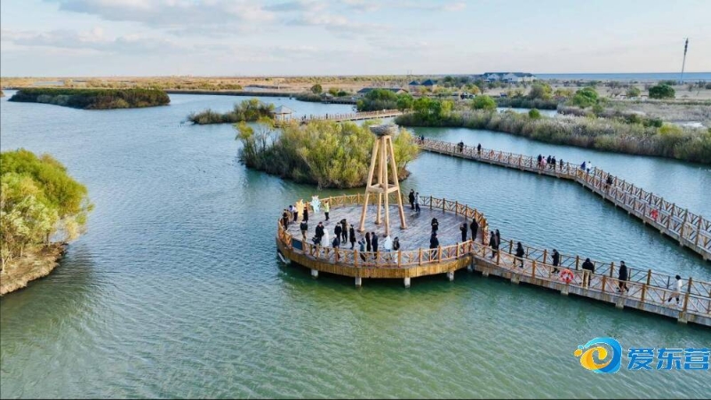 足球文化的 足球文化的